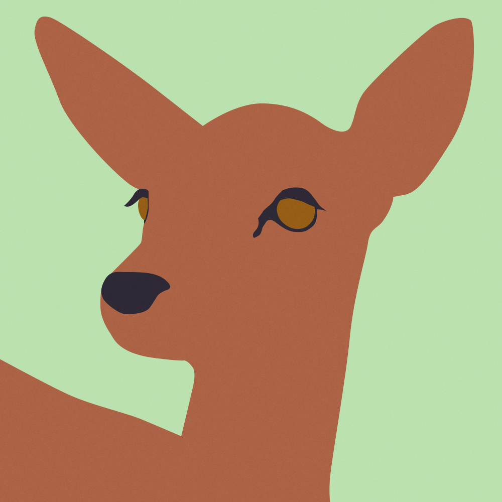 illustrazione Palladineve Jr. - Ashleigh Bryant Phillips