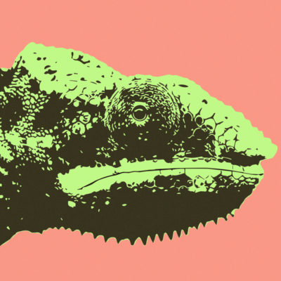 Post thumbnail