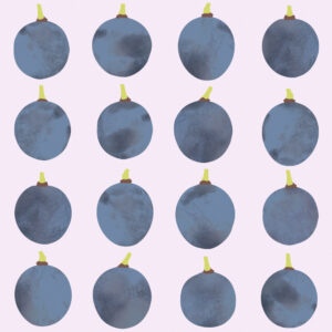 illustrazione Quadrilogia bianca - Marina Novelli