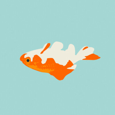 Post thumbnail