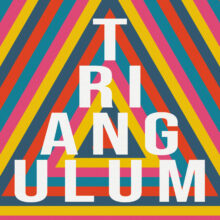 Triangulum - Masande Ntshanga (Pidgin Edizioni 2023) copertina Triangulum - Masande Ntshanga
